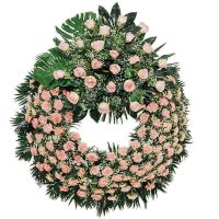 Corona premium aro rosa cabezal rosa