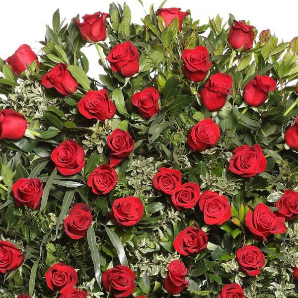 Rosas rojas y verdes variados